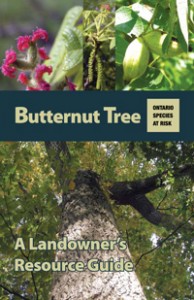 Butternut Landowner Resource Guide